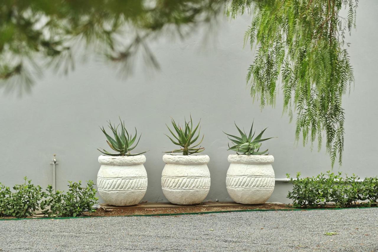 The Fancy Cactus Daire Colesberg Dış mekan fotoğraf